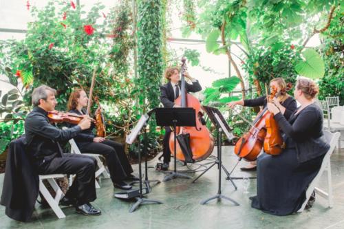String-Love-Utah-String-Quartet-La-Caille-Greenhouse